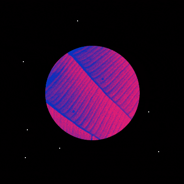 6_10.gif