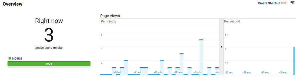 Verifying your setup in google analytics