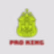 pro king logo
