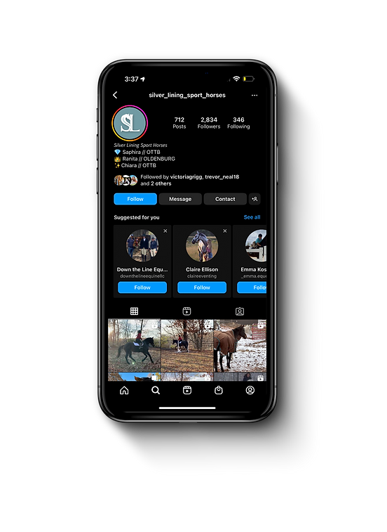 mobile 2.png