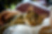 cat-g65cb75c5a_1920.jpg