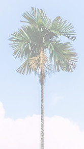 Affordable Care of the Lowcountry
