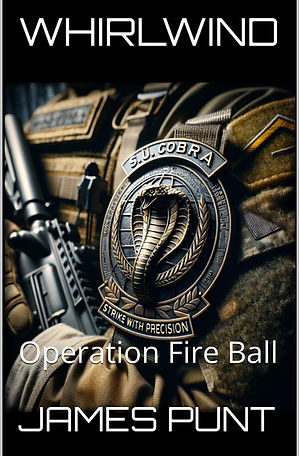 Fire ball cover 1.jpg