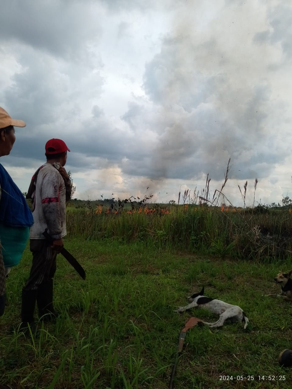 IMG-20240530-WA0009 1