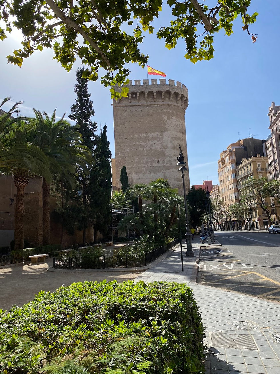 District of El Carmen with Portal de Quart (Quart Towers)