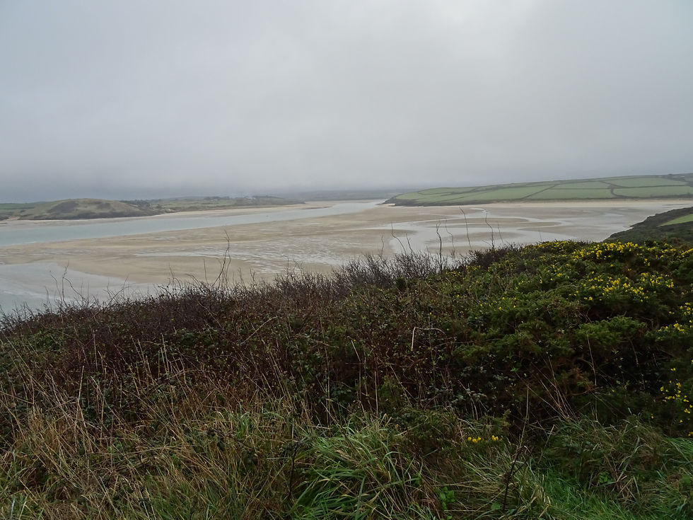 Views over the river camel estuary