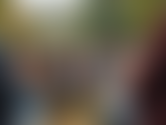 Volunteer Opportunities with Western Travis Democrats Available