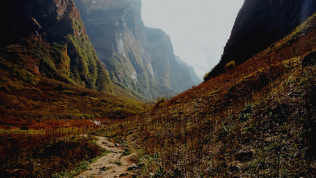 Les Zooms de SINFONI