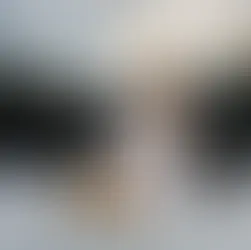 Casal de noivos em meio a neve 