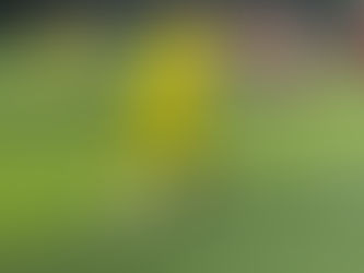 Cariñosos vuelve al campo tras tres semanas sin actividad: duelo clave ante el líder Caballeros