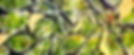 IMG-20200223-WA0040_edited_edited.jpg