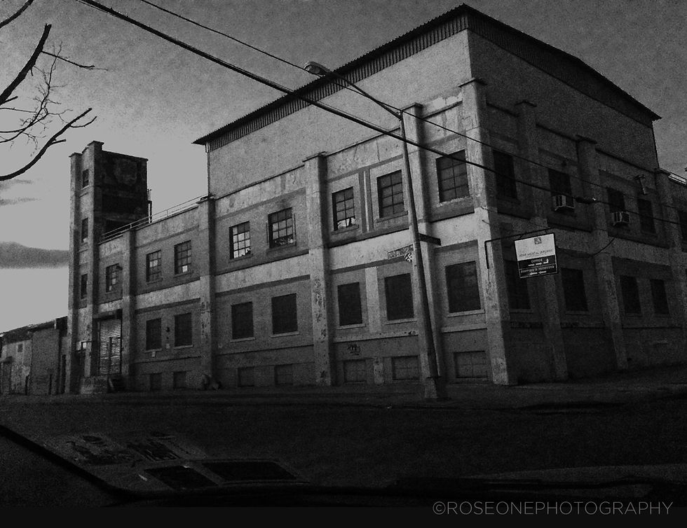 BUSHWICK EVENING