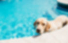 DestinationPools-10.jpg