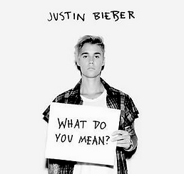 Justin Bieber What Do You Mean_.png