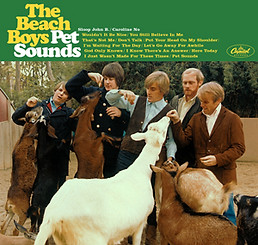 The Beach Boys Pet Sounds.jpeg