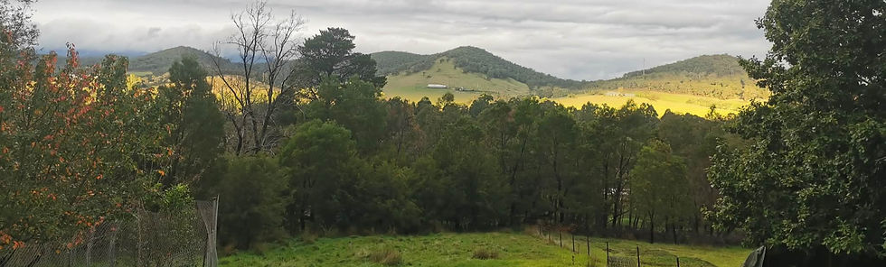 Taron farm autunm_edited.jpg