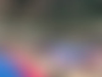 PRTKD ATTENDS 2024 NORTH AMERICAN CHAMPIONSHIPS