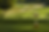 Screenshot 2025-07-27 205728.png