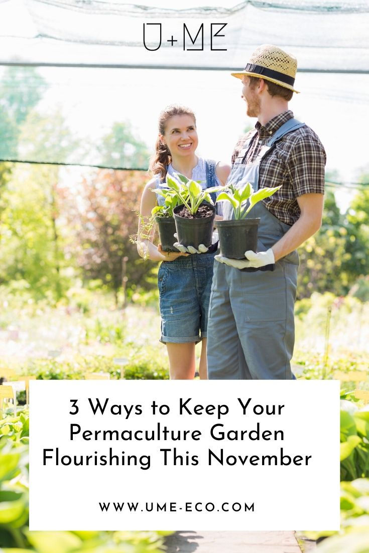 3 Ways to Keep Your Permaculture Garden Flourishing This November