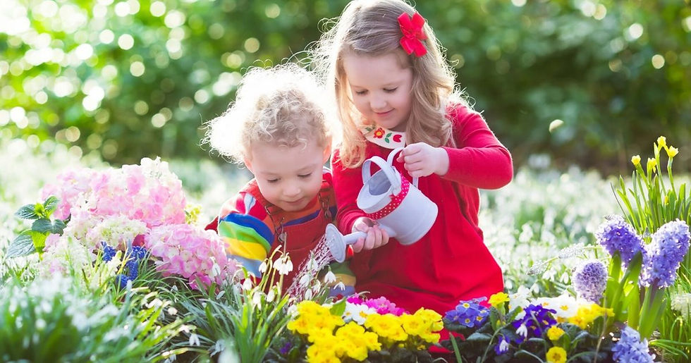Kids Garden - Its loads of fun
