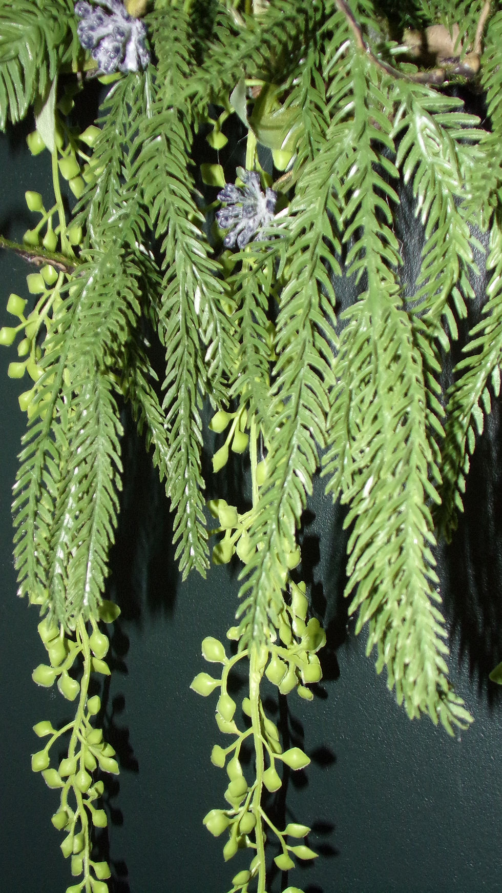 Thumbnail: Dandelion Wreath 