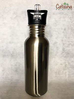 Water Bottle with Straw Top (Silver)