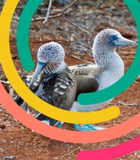LACademy_EvolutionGalapagosPorque.jpg