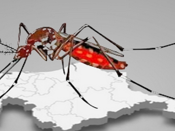 Cuarto lugar nacional con mas casos de Dengue suma 85 casos