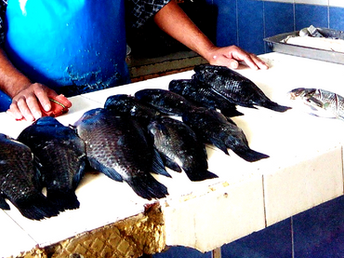 Suben precios e pescados y mariscos