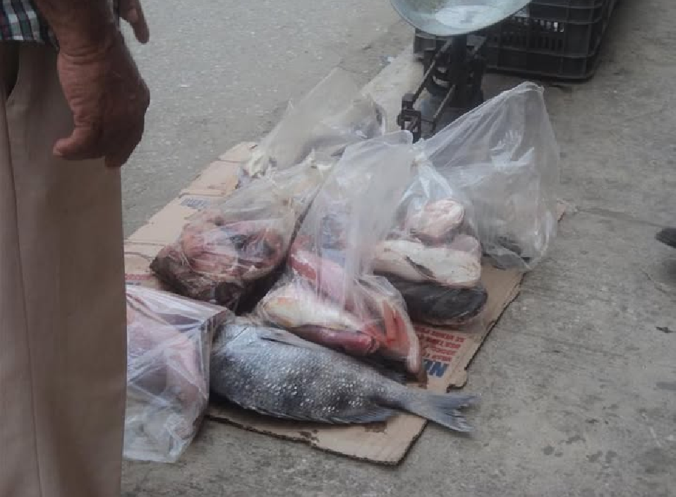 Piden detener competencia desleal