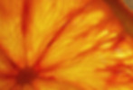 39725318735_509c412e4d_o.jpg
