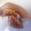 Miniatura: Achatina achatina nigeria type 1b nominal body