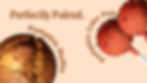 Campaign-FallLTO-Website-Banner.jpg