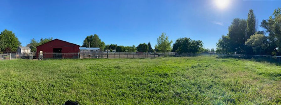 Back Pasture.jpg