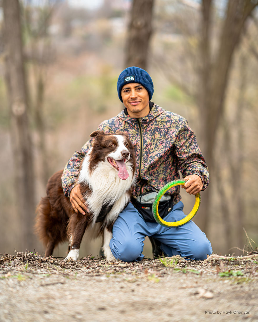 Pets Photography