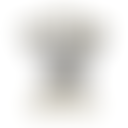 ברצלונה דצמבר 2025