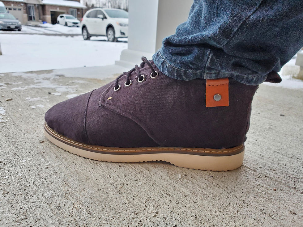 shoe_snow1-copy.jpg