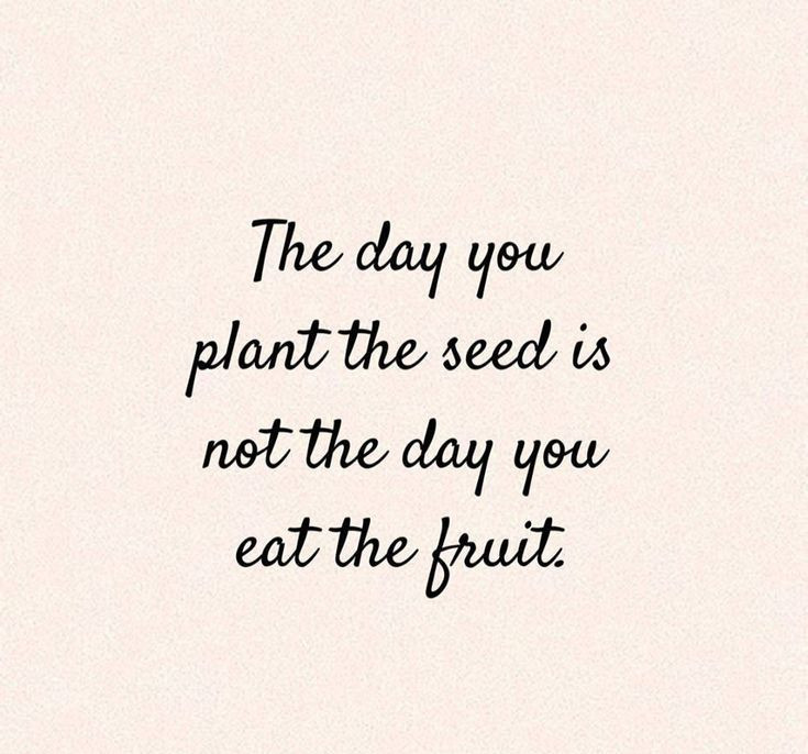 The Day You Plant The Seed Is Not The Day You Eat The Fruit The Day You Plant The Seed Is Not The Day You Eat The Fruit The Day You Plant The Seed Is Not The Day You Eat The Fruit The Day You Plant The Seed Is Not The Day You Eat The Fruit