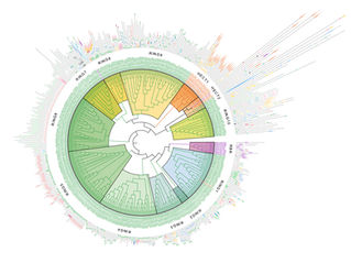Comprehensive map of human E3 ligases reveals new opportunities for targeted protein degradation