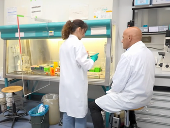 TV report on new approach to stabilize p53