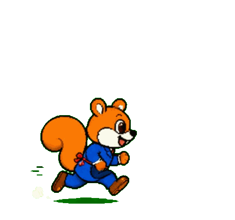azumino_squirrel_web_master_stabilized-1.gif