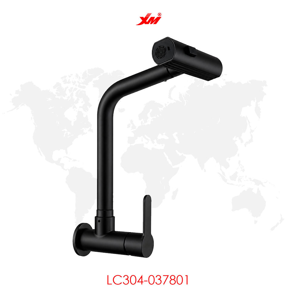 Miniatura: Llave Ganso - LC304-037801