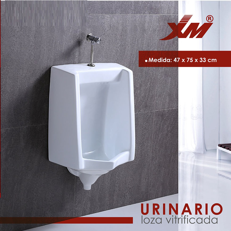 Miniatura: Urinario Blanco - C13