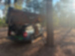 forestcamp.jpg