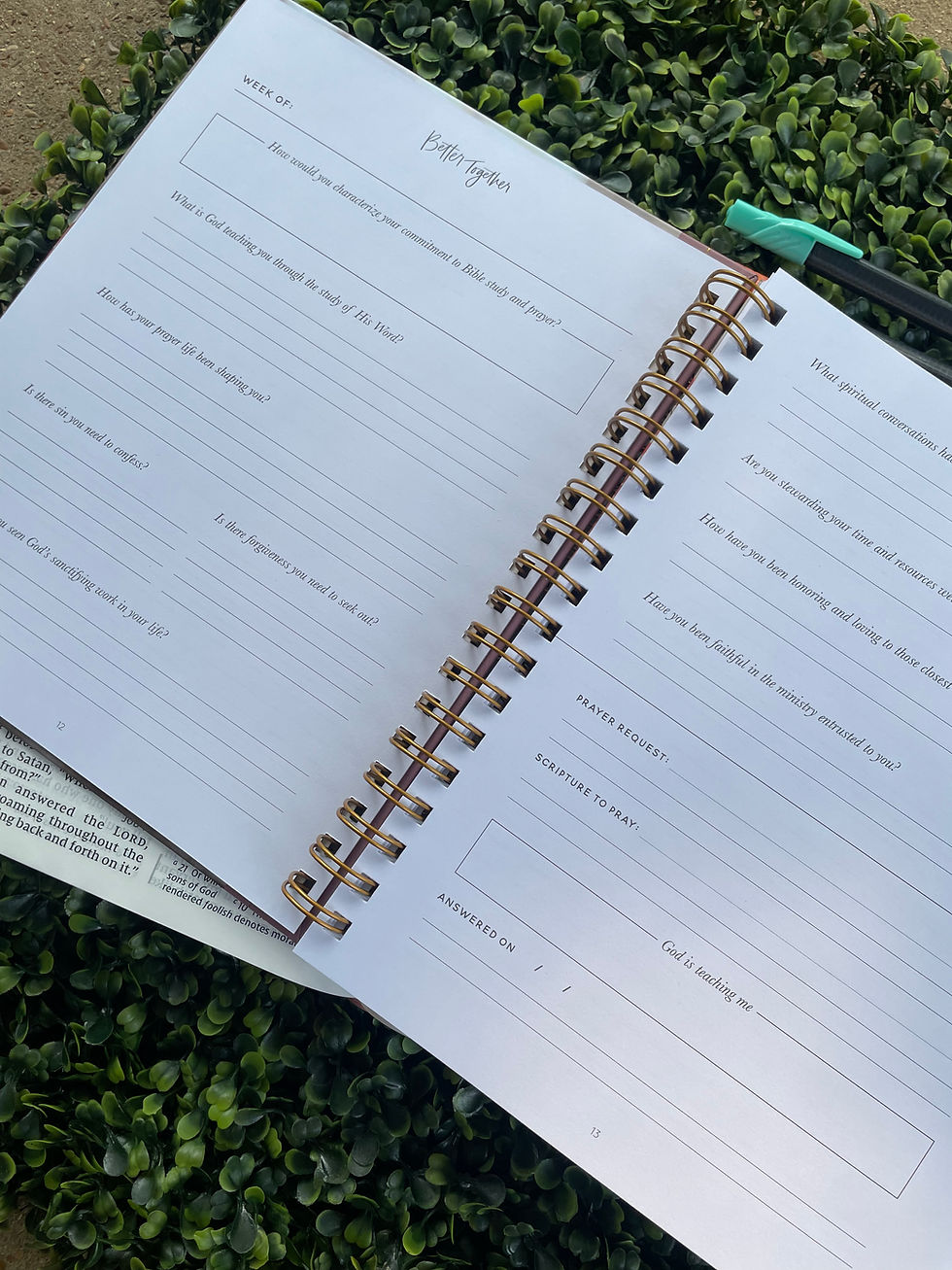 Thumbnail: The Daily Grace- Better Together Journal