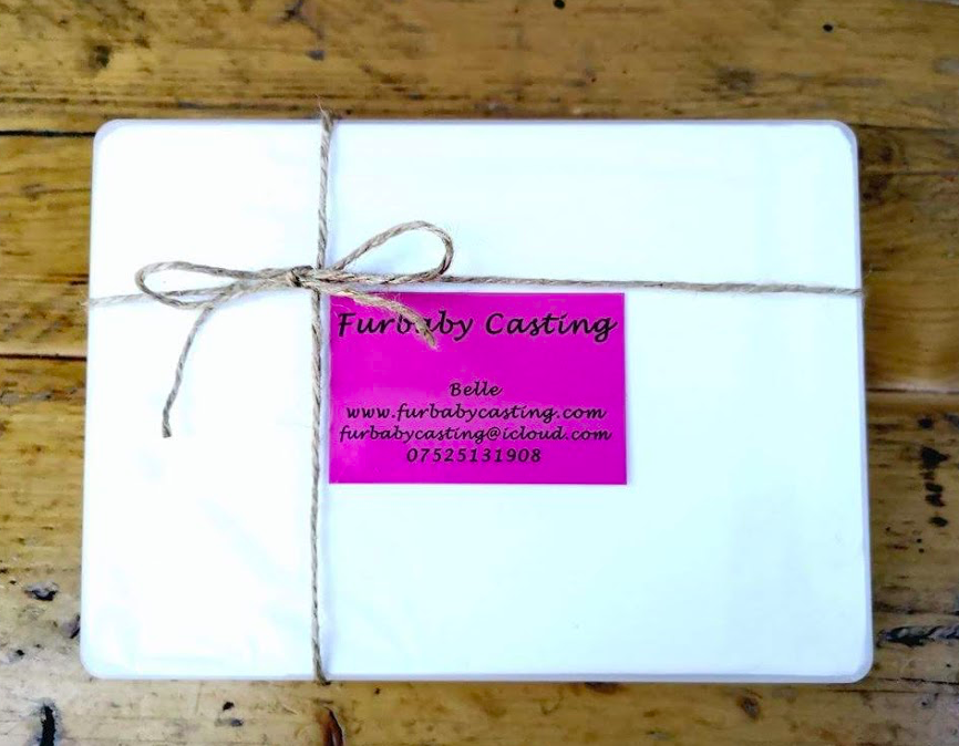 Furbaby Casting Imprint kit