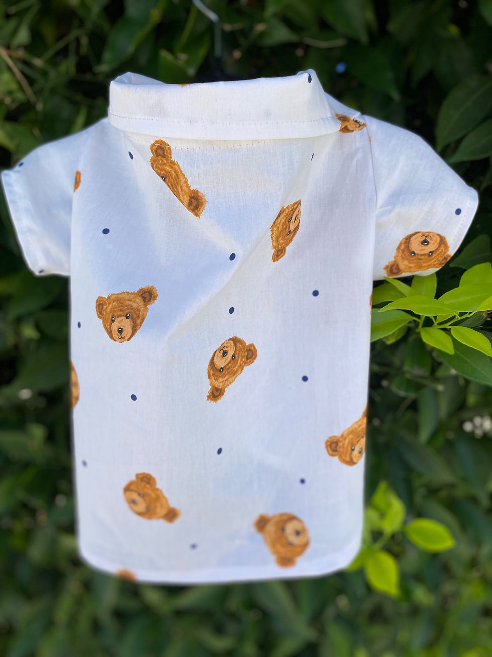 Miniatura: Camisa Ted II
