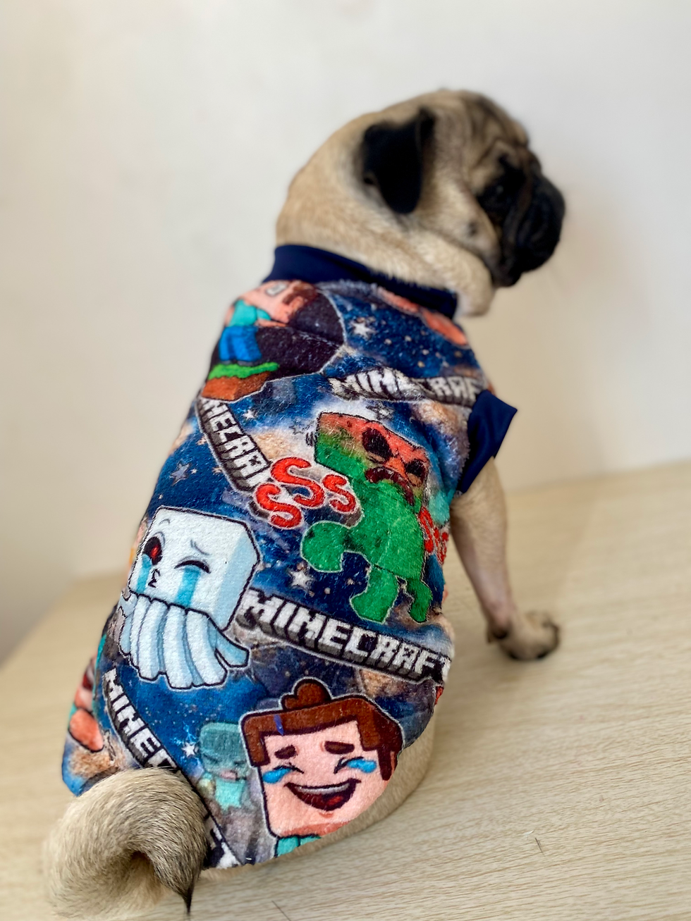 Miniatura: Regatinha Minegrifat
