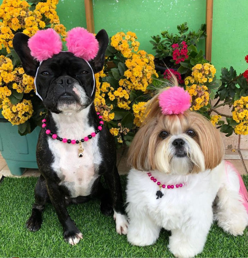Pompom maxi