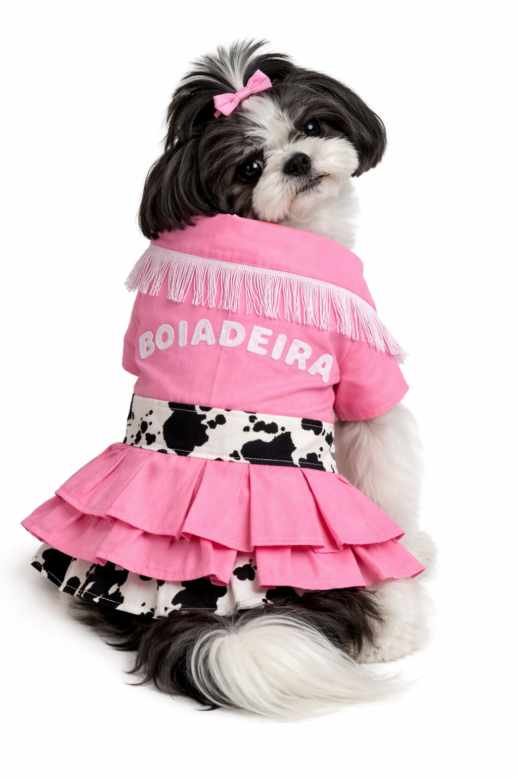 Vestido boiadeira I